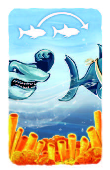 m-cke-spiele-hai-noon-kartenspiel-familienspiel image 6