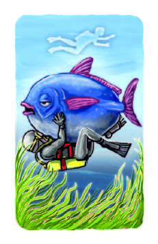 m-cke-spiele-hai-noon-kartenspiel-familienspiel image 3